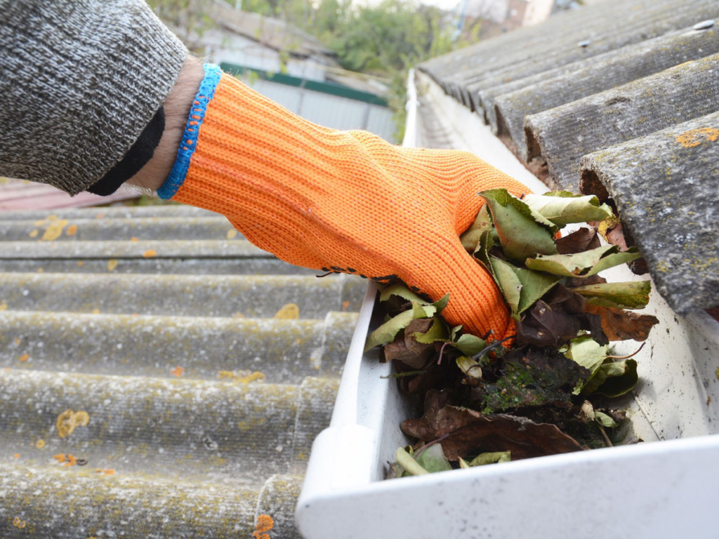 Gutter Cleaning